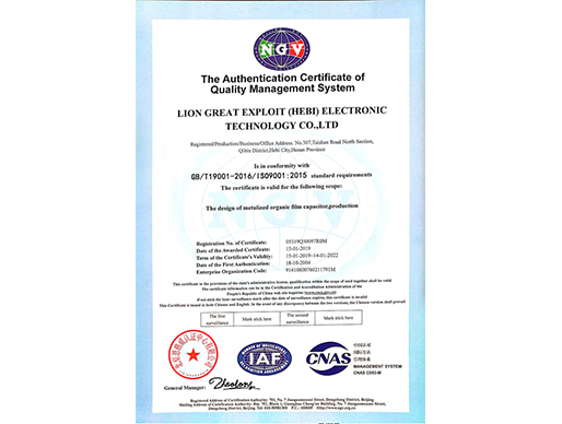 Lion Achieves ISO 9001:2015 Certification