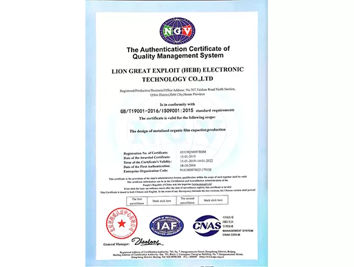 Lion Achieves ISO 9001:2015 Certification